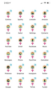 LGBTQ AF Bisexual Pride iPhone Aesthetics Pack (24 Icons)
